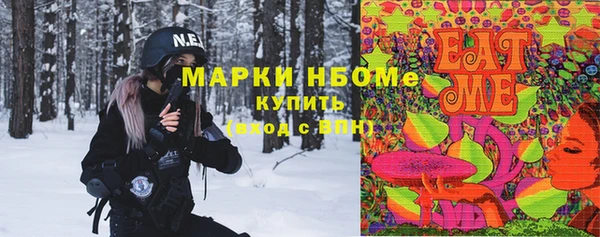 хмурый Горняк