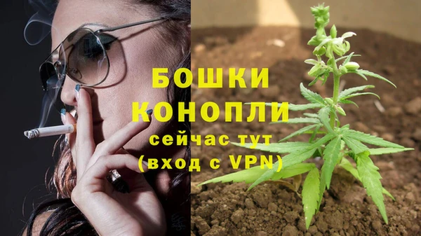 дмт Горно-Алтайск
