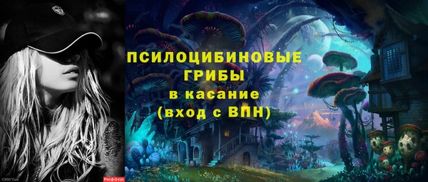 хмурый Горняк