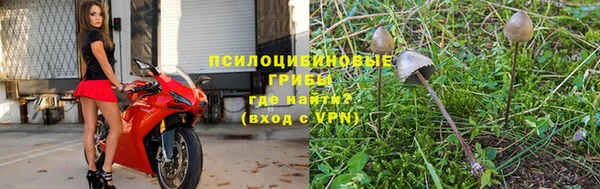 хмурый Горняк