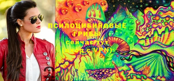 хмурый Горняк