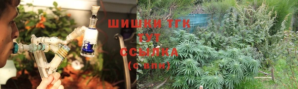 хмурый Горняк