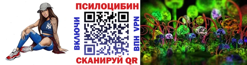 Псилоцибиновые грибы мицелий  Татарск 
